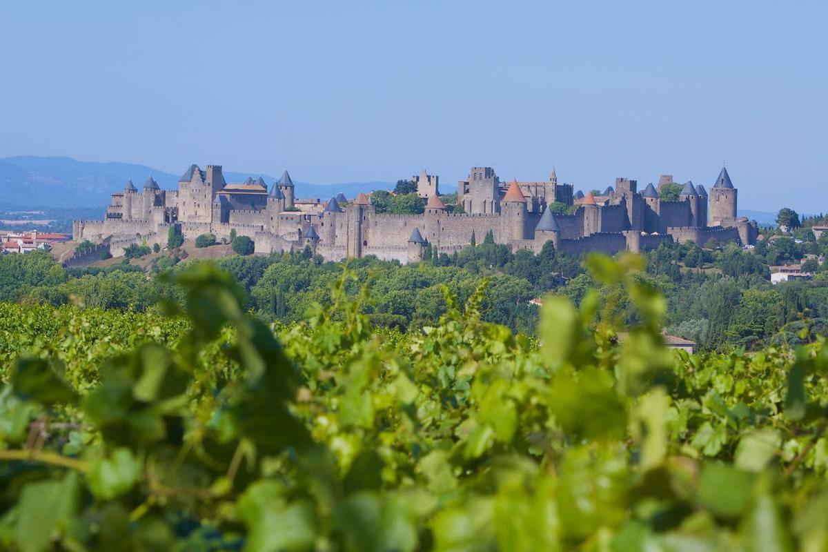 Tout Confort ! Climatisation, Calme, Piscine, Parking Gratuit, Terrasse, Wifi Apartment Carcassonne Exterior photo